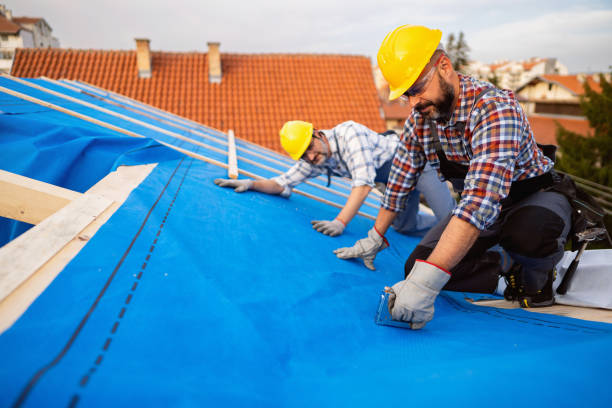 Best Residential Roofing Contractor  in Carrollton, GA