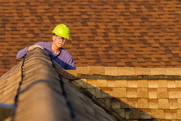 Best Roof Gutter Cleaning  in Carrollton, GA