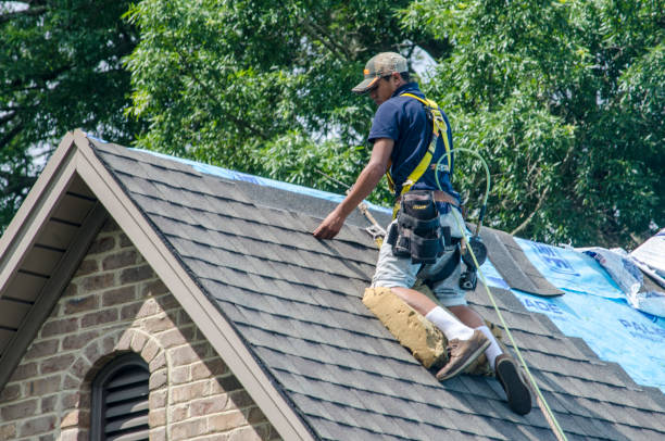 Best New Roof Installation  in Carrollton, GA